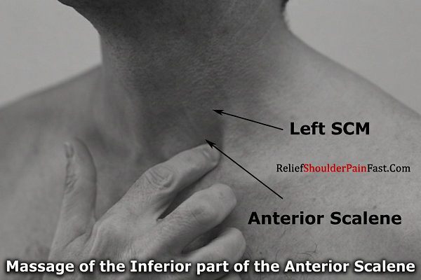Step 3: Slowly massaging along the SCM