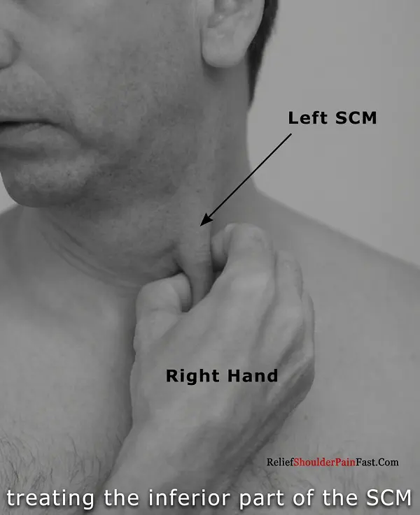 Step 3: Slowly massaging along the SCM